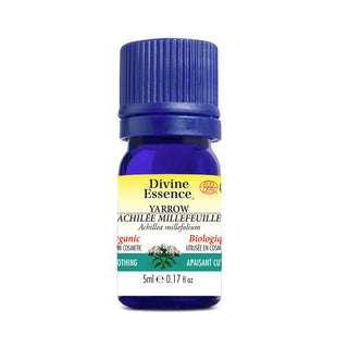 Divine essence - Achillée millefeuille bio - 5 ml