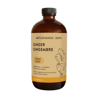 Harmonic arts - Sirop de gingembre 250 ml