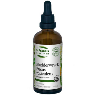 St. francis - Fucus vésiculeux