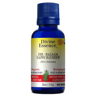 Divine essence - Sapin baumier bio