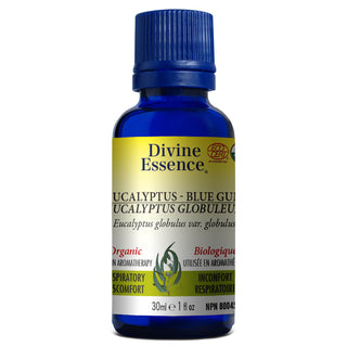 Divine essence - Eucalyptus globuleux bio