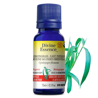 Divine essence - verveine des indes orientales bio.