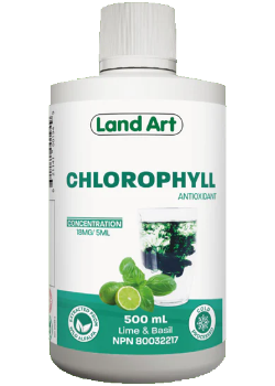 Land art - Chlorophylle liquide