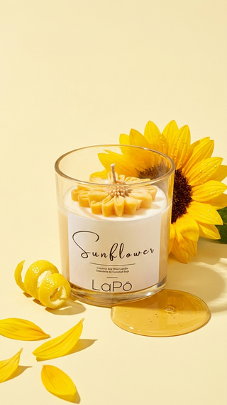 Lapo - Tournesol