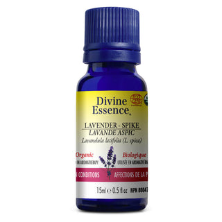 Divine essence - Lavande aspic bio