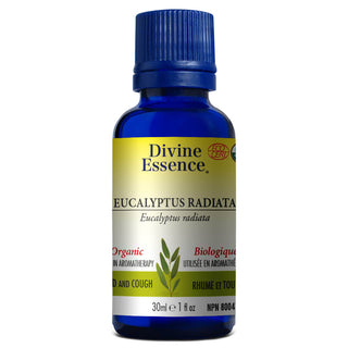 Divine essence - Eucalyptus radiata bio