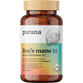 Purana - Crinière de lion 1:1 - 120 vcaps