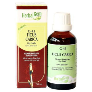 Herbalgem 
- g45 ficus carica - 50 ml