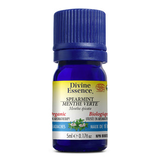 Divine essence - Menthe verte bio