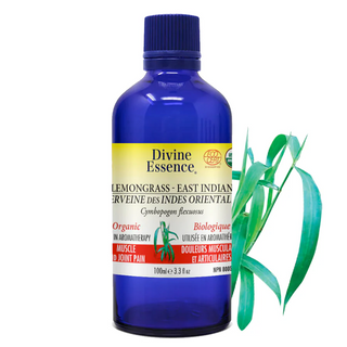 Divine essence - verveine des indes orientales bio.