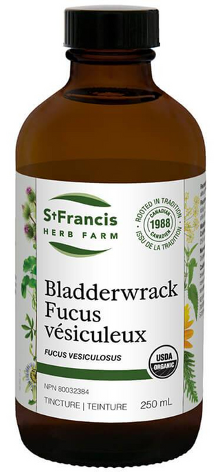 St. francis - Fucus vésiculeux