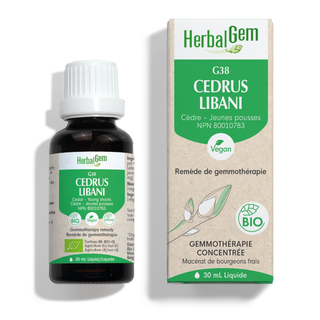 Herbalgem - G38 cedrus libani - Cèdre du liban (jeunes pousses) - 30 ml