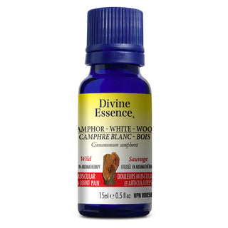 Divine essence - Camphre blanc bois sauvage