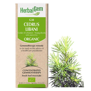 Herbalgem 
- g38 cedrus libani - 50 ml