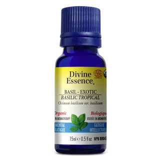 Divine essence - basilic tropical bio.