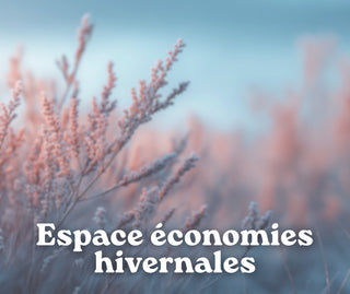espace économies hivernales