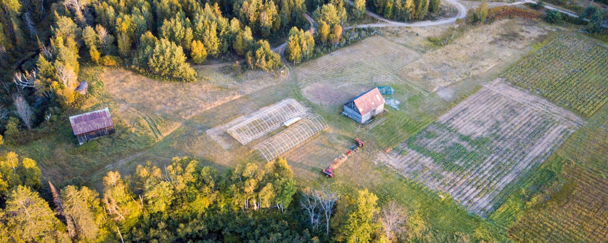 St. Francis Herb Farm