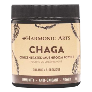 Harmonic arts - Poudre de champignon concentrée chaga