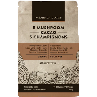 Harmonic arts - Cacao aux 5 champignons poudre