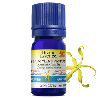 Divine essence - ylang ylang complète bio.