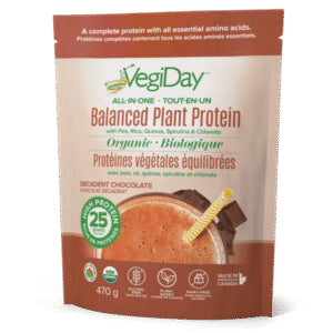Vegiday - Protéines végétales équilibrées tout-en-un, chocolat décadent - 470 g