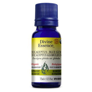 Divine essence - Eucalyptus globuleux bio