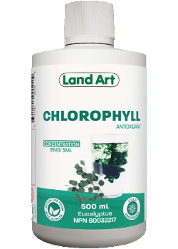 Land art - Chlorophylle liquide