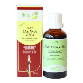 Herbalgem 
- g72 castanea vesca - 50 ml