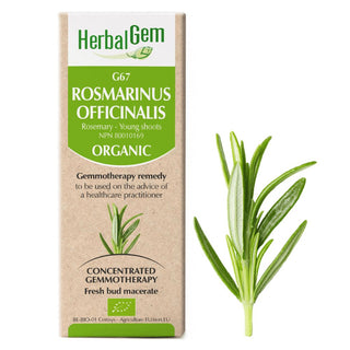 Herbalgem 
- g67 rosmarinus officinalis - 50 ml