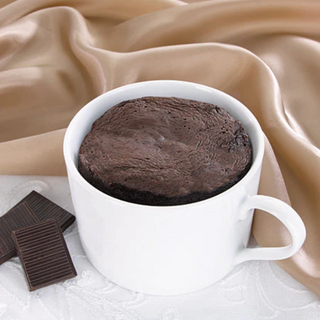 Health wise - mélange mug cake au chocolat