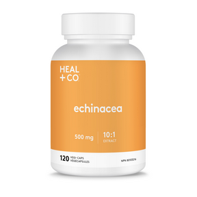 Heal+ co - échinacée (extrait 10:1) 500 mg - 120 vcaps.