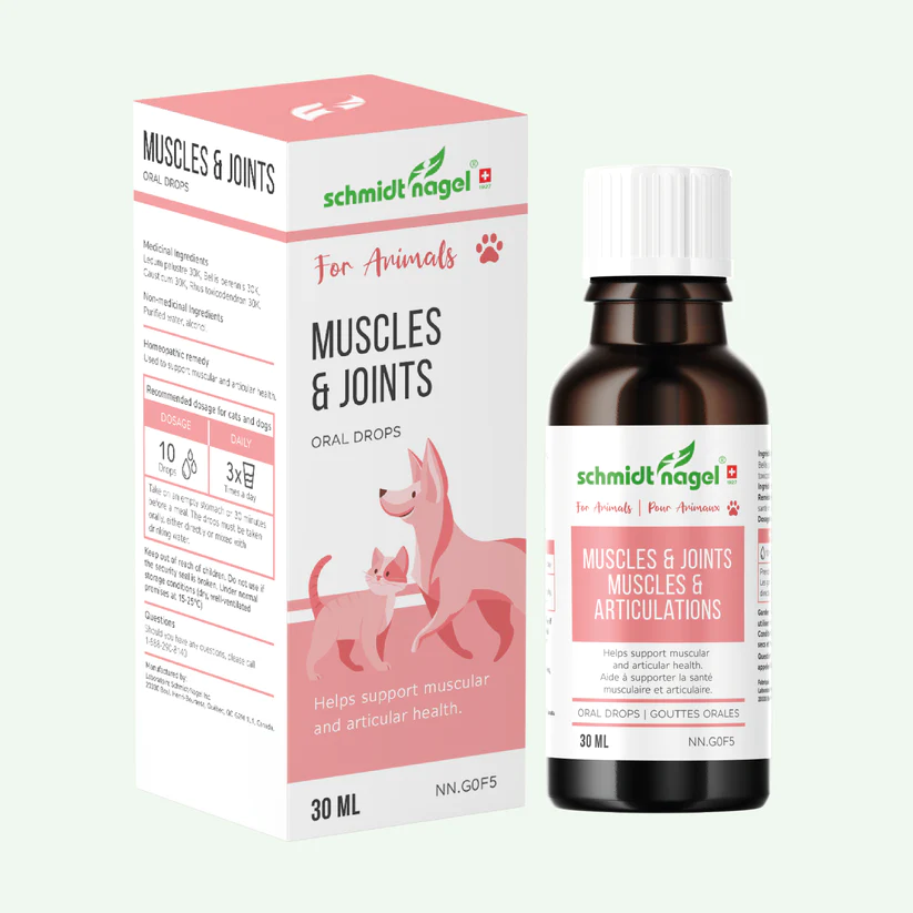 Schmidt nagel - muscles et articulations (animodel 2)  - 30 ml