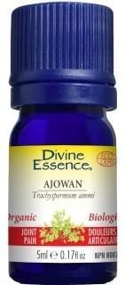 Ajowan -Divine essence -Gagné en Santé