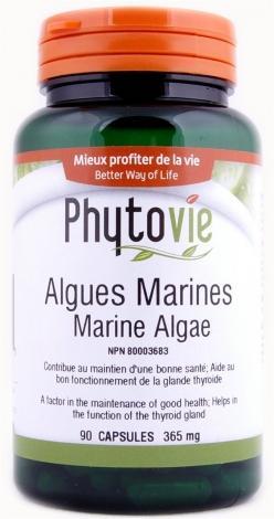 Algues Marines -Phytovie -Gagné en Santé