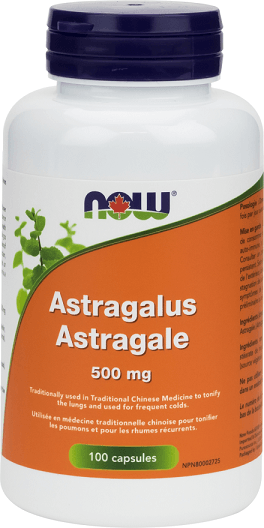 Astragale 500 mg -NOW -Gagné en Santé