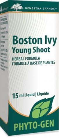 Boston Ivy Young Shoot -Genestra -Gagné en Santé