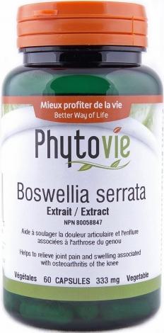 Boswellia serrata -Phytovie -Gagné en Santé