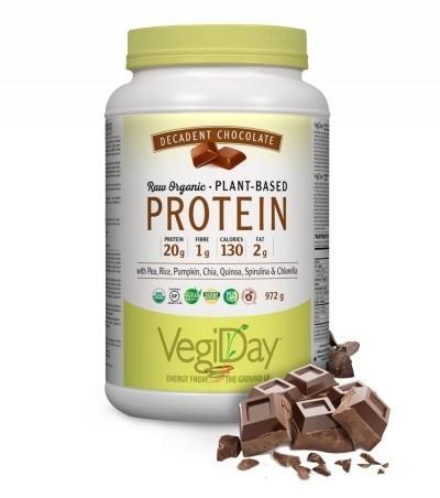 Brut Biologique à base de plantes protéines - Chocolat décadent -VegiDay -Gagné en Santé