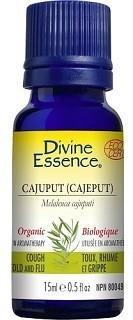 Cajuput (Cajeput) -Divine essence -Gagné en Santé
