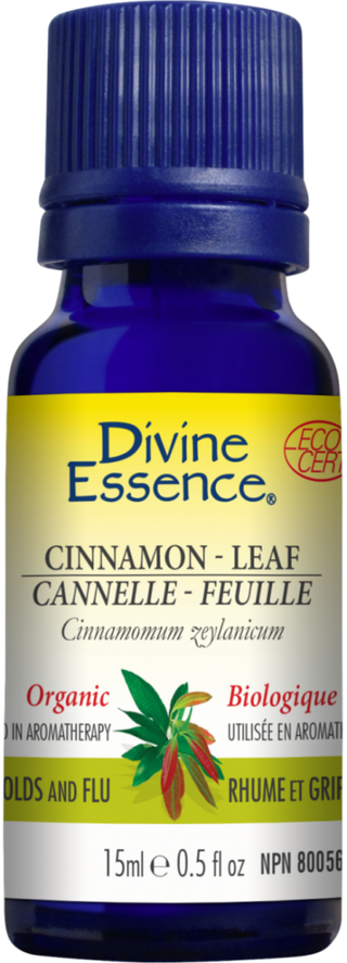 Cannelle Feuille -Divine essence -Gagné en Santé