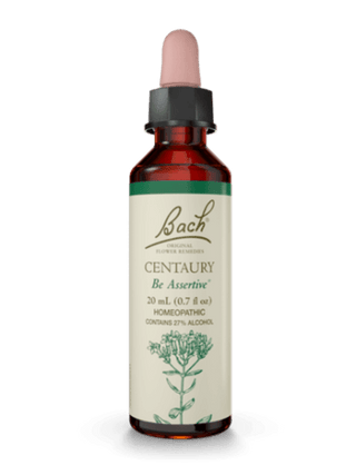 Centaurée -Bach -Gagné en Santé
