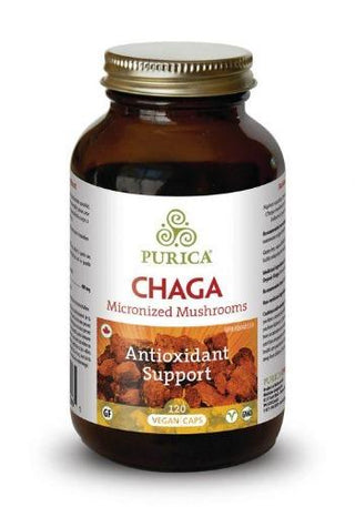 Chaga (biologique + micronisé 400 mg) -PURICA -Gagné en Santé