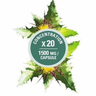 Chardon béni 1500 mg -Léo Désilets -Gagné en Santé