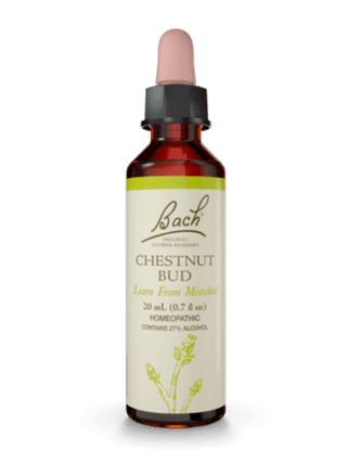 Chestnut Bud -Bach -Gagné en Santé