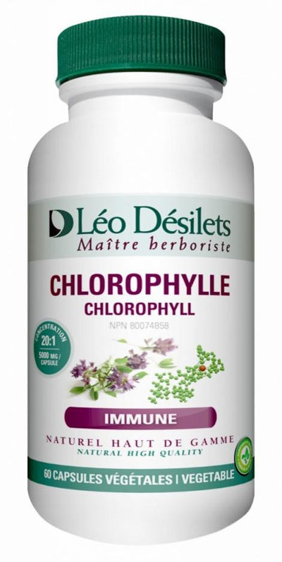 Chlorophylle -Léo Désilets -Gagné en Santé