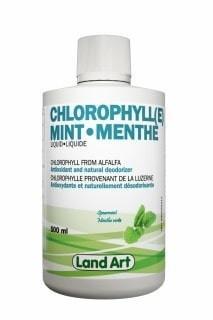 Chlorophylle Menthe -Land Art -Gagné en Santé
