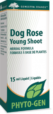 Dog Rose Young Shoot -Genestra -Gagné en Santé