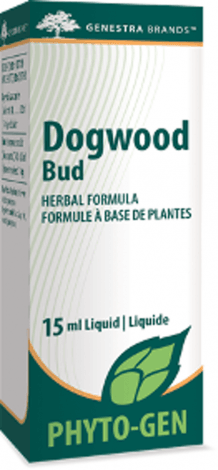 Dogwood Bud -Genestra -Gagné en Santé