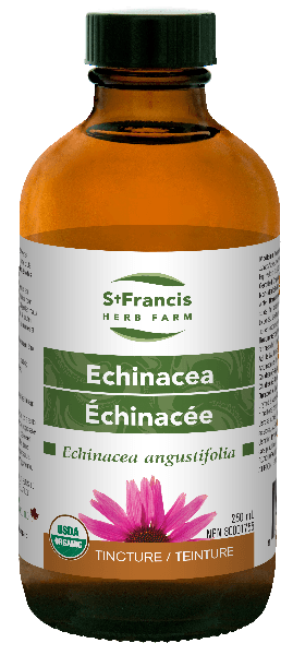 Echinacée -St Francis Herb Farm -Gagné en Santé