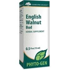 English Walnut Bud -Genestra -Gagné en Santé
